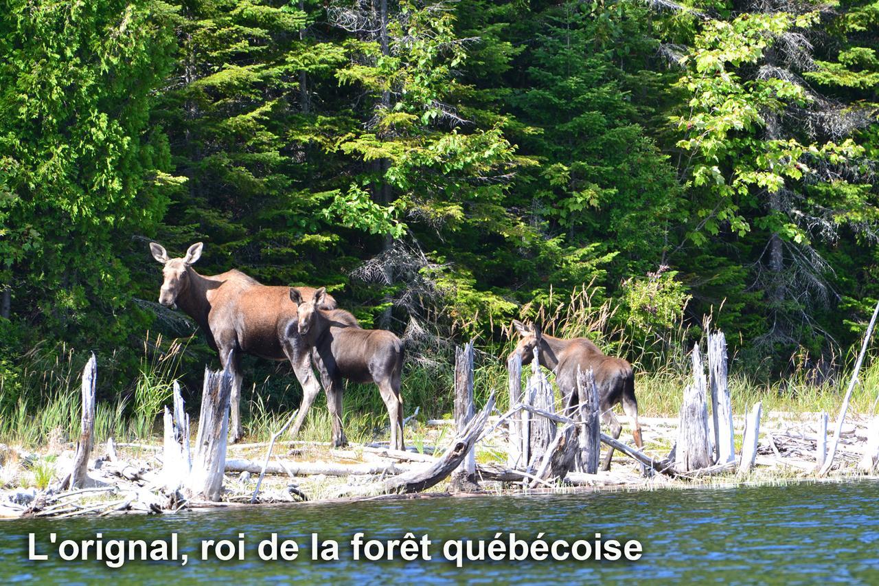 Club Tadoussac 빌라 외부 사진